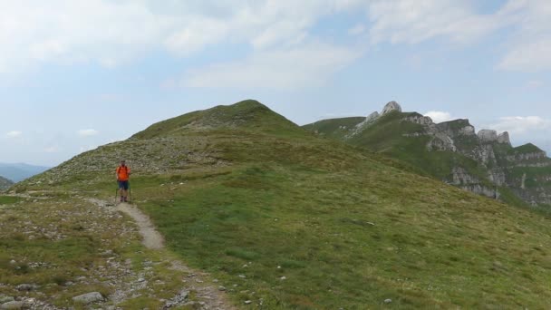 夏には山をバックパックで歩くロンリーハイカー — ストック動画