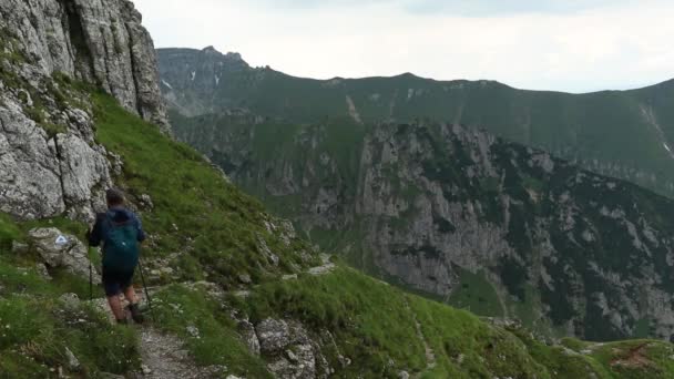 Caminhante Solitário Caminha Trilha Montanha Alta Altitude Durante Verão — Vídeo de Stock