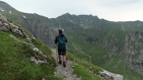 Самотній Пішохід Ходить Гірській Стежці Висоті Влітку — стокове відео