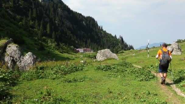 Ένας Πεζοπόρος Περπατά Ορεινό Μονοπάτι Μια Όμορφη Μέρα Καλοκαίρι — Αρχείο Βίντεο