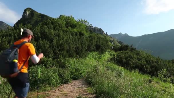 Samotny Wędrowiec Spaceruje Szlaku Górskim Dużej Wysokości Latem — Wideo stockowe