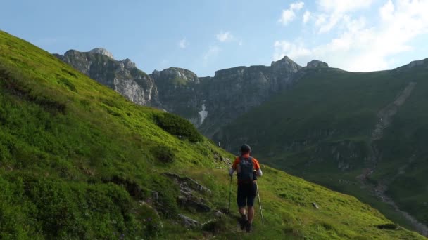 Самотній Пішохід Ходить Гірській Стежці Висоті Влітку — стокове відео