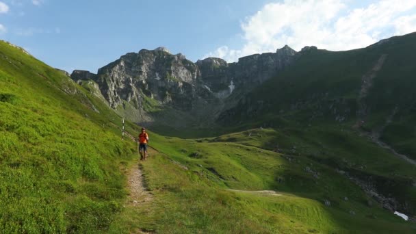 Прогулянка Гірській Стежці Прекрасний День Влітку — стокове відео
