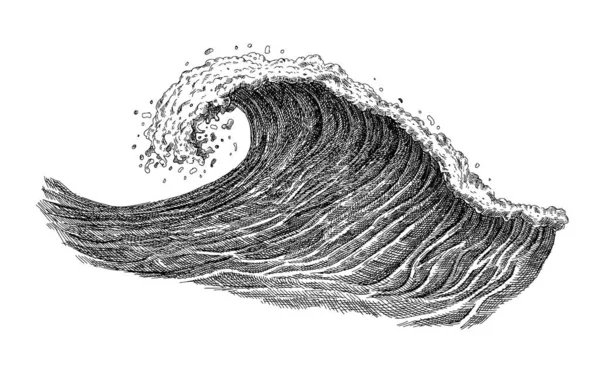 Sea Wave Sketch Vintage Hand Drawn Ocean Tidal Storm Waves — Stock Vector