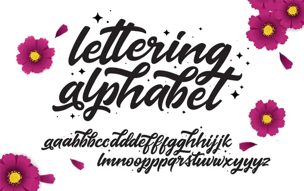 Alphabet Dessiné Main Calligraphie Alphabet Abc Décoratif Isolé Sur Fond — Image vectorielle