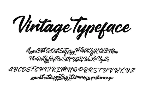 Vector Alphabet Exclusive Custom Letters Lettering Custom Typography Designs Logo — Stock Vector