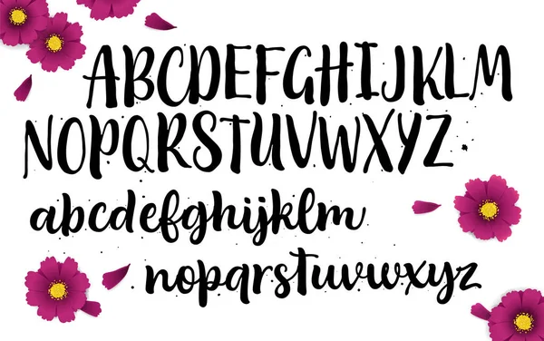 Het Met Hand Getrokken Alfabet Kalligrafie Decoratieve Abc Alfabet Geïsoleerd — Stockvector