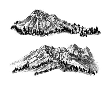 Beyaz Arkaplanda Çam Ağaçları ve Manzara Siyah Dağ. Sketch Style 'da elle çizilmiş Rocky Peaks. Kamp Ulusal Parklar ve Açık Hava Konsepti. Vektör illüstrasyonu. 