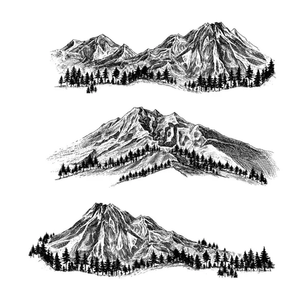 Beyaz Arkaplanda Çam Ağaçları ve Manzara Siyah Dağ. Sketch Style 'da elle çizilmiş Rocky Peaks. Kamp Ulusal Parklar ve Açık Hava Konsepti. Vektör illüstrasyonu. 