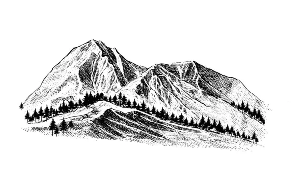 Mountain with Pine Trees and Landscape Black on White Background. Hand-drawn Rocky Peaks in Sketch Style. Camping National Parks and Outdoors Concept. Vector illustration. — Stock Illustration Mountain Pine Trees Landscape Black White Background Hand Drawn Rocky Vector Graphics