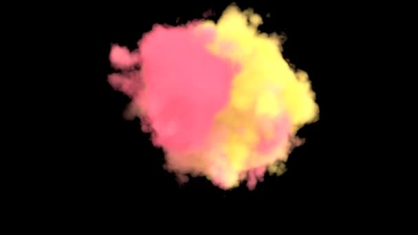 Анимация Взрыва Розового Порошка Черном Фоне Краска Холи Порошок Взрывается — стоковое видео