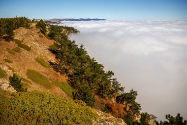 Sonbahar ağaçları ve kalın bulutlarla Ai Petri 'deki bir dağ yamacının parçası.
