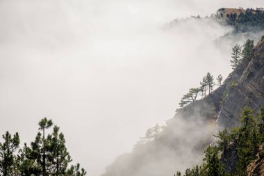 Kırım 'da ağaçlarla kaplı kayalık dağlarda kalın beyaz bulutlar