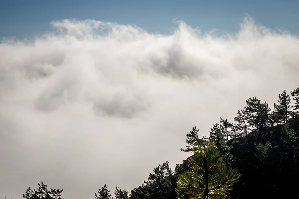 Paisagem Montanhosa Com Parte Penhasco Com Árvores Uma Espessa Nuvem Fotografias De Stock Royalty-Free