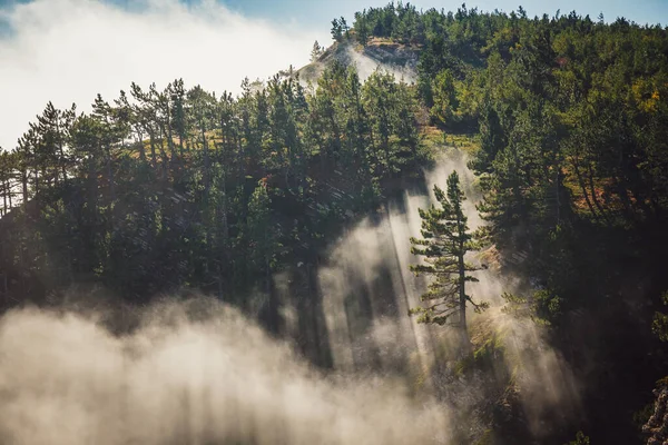 Verbazingwekkend Berglandschap Met Wolken Tussen Bomen Zon Die Door Wolken Stockfoto