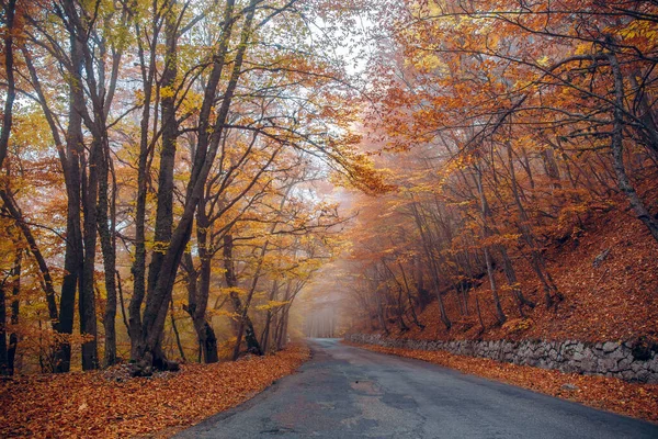 Route Montagne Petri Automne Parmi Les Orangers Images De Stock Libres De Droits