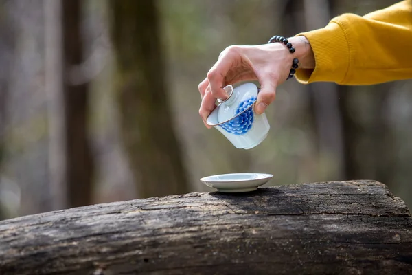 Hand Holding Gaiwan Tea Ceremony Saucer Stock Picture