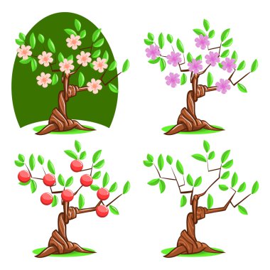 Beyaz arkaplanda elma ağacı