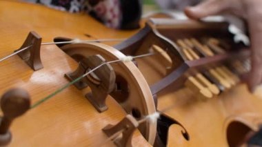 Geleneksel Ukrayna enstrümanı Wheel Lira