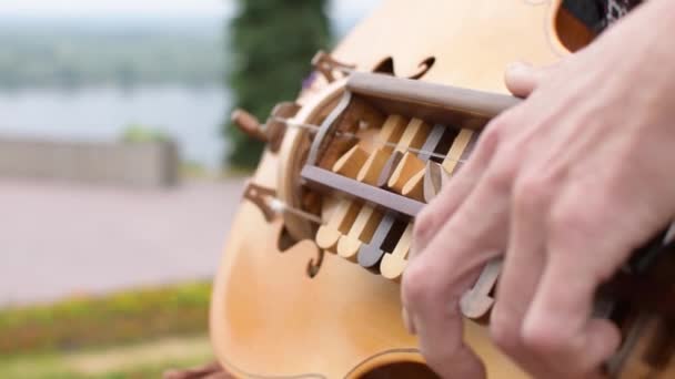 Παραδοσιακό μουσικό Ουκρανικό όργανο Wheel Lira — Αρχείο Βίντεο
