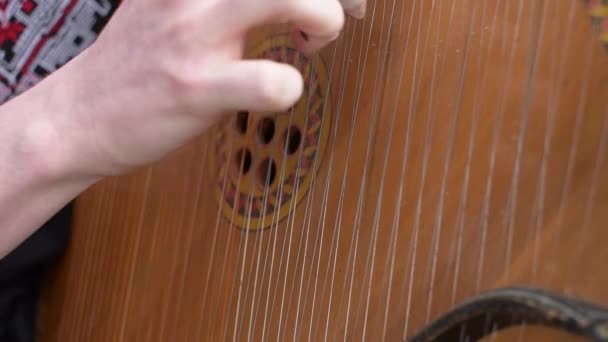 ヴィンテージ楽器のバンデューラを演奏 — ストック動画