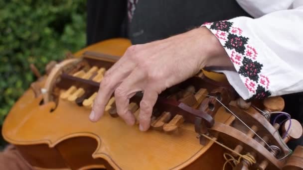 Traditional musical Ukrainian instrument Wheel Lira — Stock Video