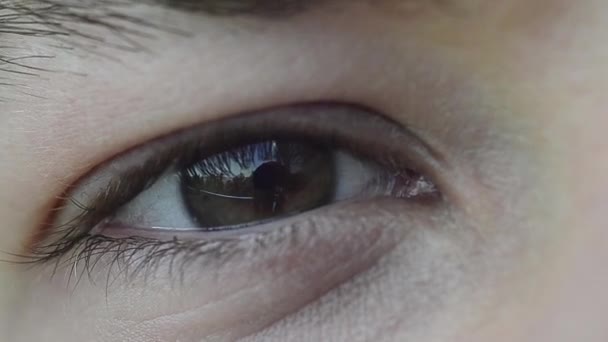 "Male Eye Extreme Close-up". Bela piscando macho Brown com olho verde. Amazing Sight. Movimento lento. Olho com retina, vasos sanguíneos. Macro. Jogo de luz e sombra. — Vídeo de Stock