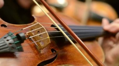 Yakın plan, orkestra klasik keman, teller ve yaylar çalıyor
