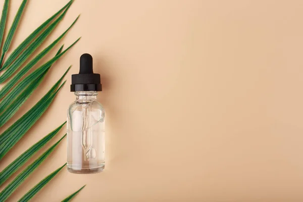 Skin serum in transparent bottle with palm leaf against beige background with copy space — Stock Photo, Image
