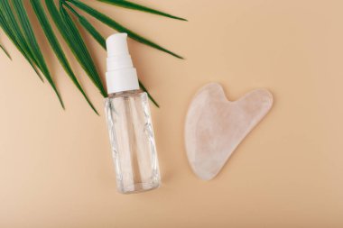 Masaj jeli ya da şeffaf şişede yağ ve bej arka planda palmiye yaprağıyla kalp şeklinde guasha pembe kuvars kristali ile düz yatıyordu. Yüz masajı, güzellik ve kendini tedavi kavramı