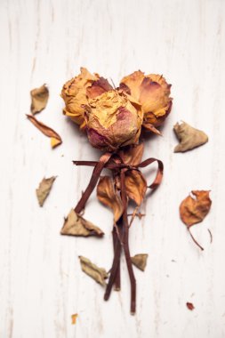 Beyaz ahşap masa üstü üzerinde kurutulmuş güller