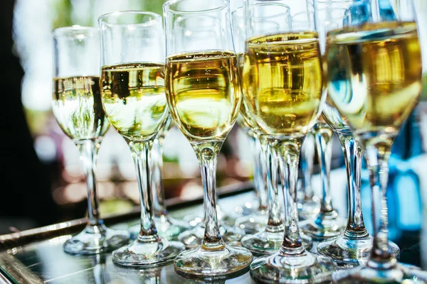 Elegant glasses with champagne standing in a row on serving table during party or celebration