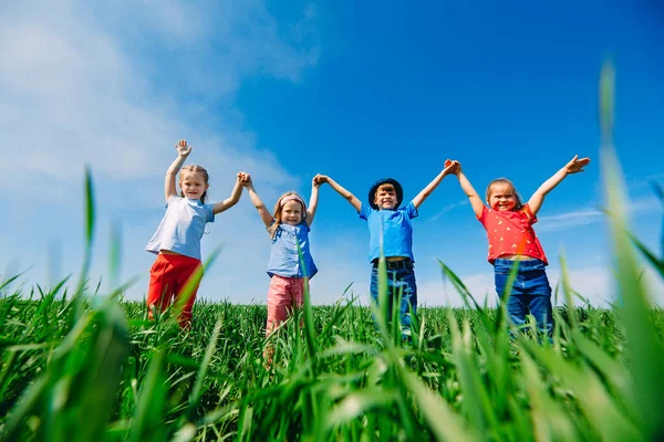 Щасливі Діти Зеленому Полі Руками Вгору — стокове фото