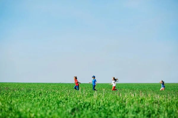 Courir Des Enfants Dans Champ Vert Pendant Été — Photo