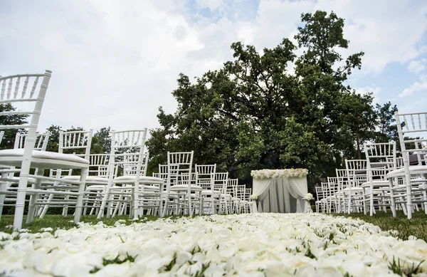 Hermosa boda establecida —  Fotos de Stock