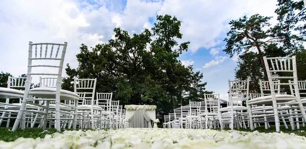 Hermosa boda establecida —  Fotos de Stock