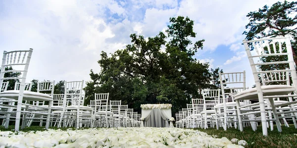 Beautiful wedding set up — Stock Photo, Image