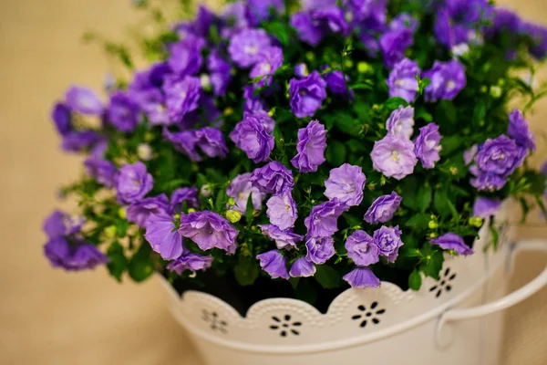 Красивый букет ярких цветов в корзине — стоковое фото