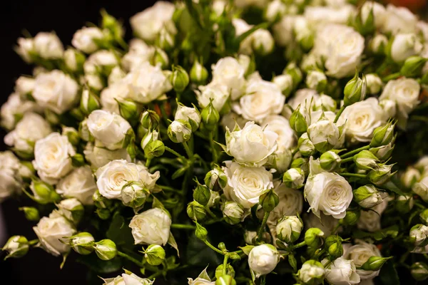 Belo buquê de rosas brancas — Fotografia de Stock