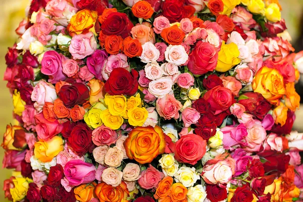 Beau bouquet de roses multicolores — Photo