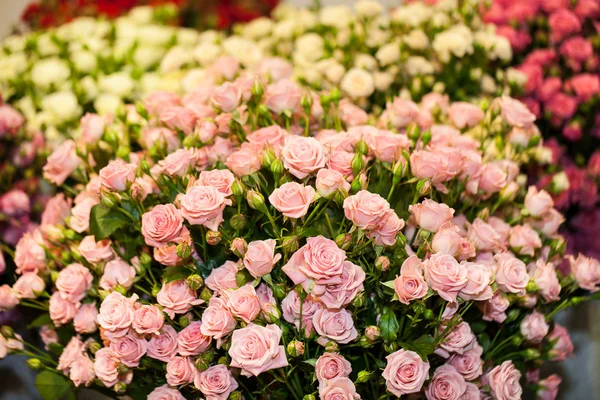 Piękny bukiet róż różowy — Zdjęcie stockowe