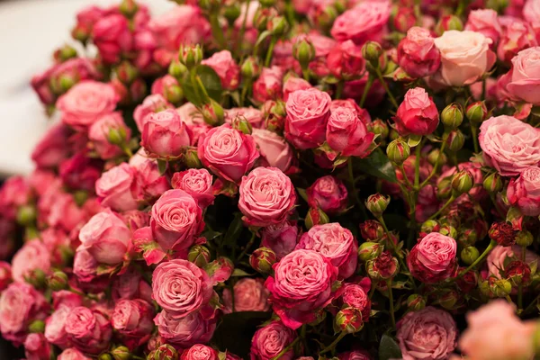 Krásná kytice růžových růží — Stock fotografie