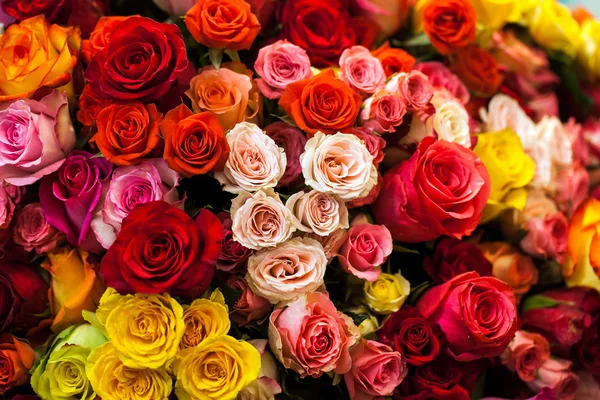 Belo buquê de rosas multicoloridas — Fotografia de Stock