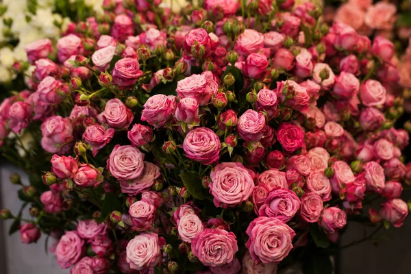 Belo buquê de rosas rosa — Fotografia de Stock