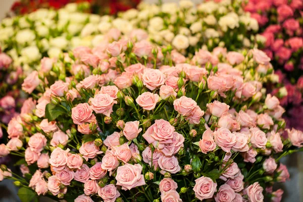 Belo buquê de rosas rosa — Fotografia de Stock