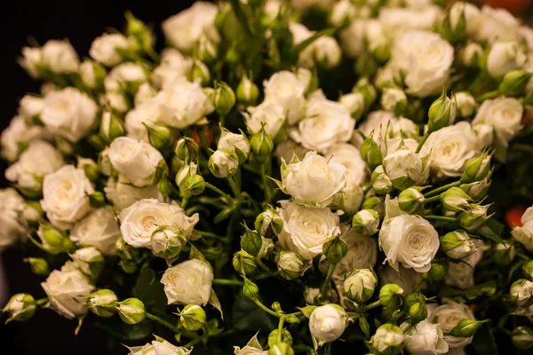 Belo buquê de rosas brancas — Fotografia de Stock