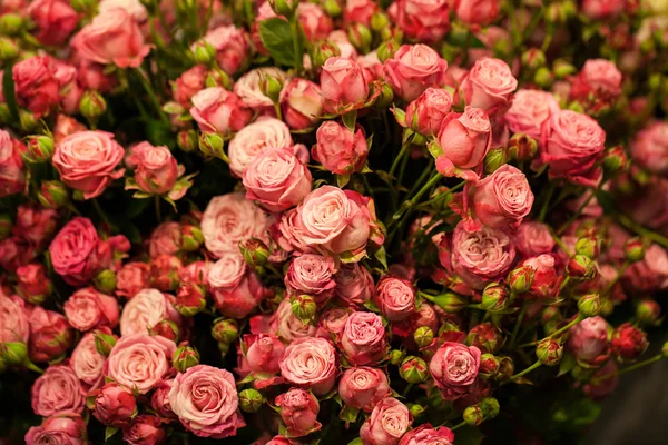 Piękny bukiet róż różowy — Zdjęcie stockowe