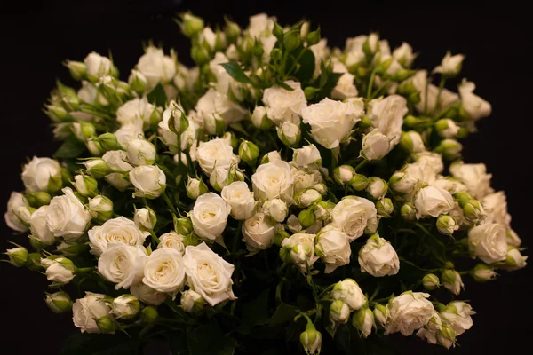 Belo buquê de rosas brancas — Fotografia de Stock