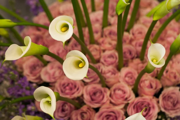 Beautiful bouquet of flowers — Stock Photo, Image