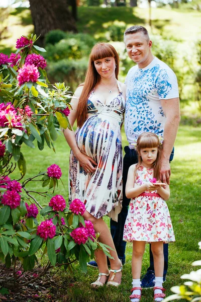 A young family, a pregnant mother, father, daughter — Stock Photo, Image